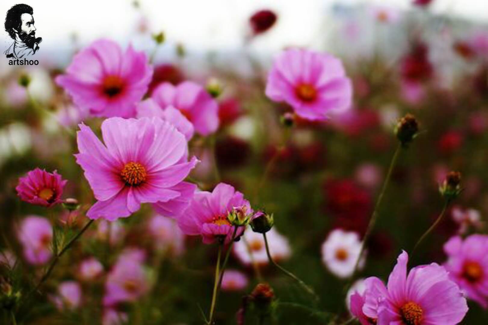 آموزش نقاشی رنگ روغن